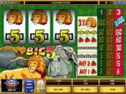 Big Five Slots